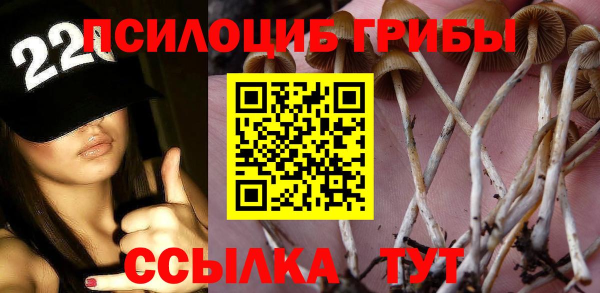 Галлюциногенные грибы мицелий  Псилоцибиновые грибы прущие грибы  Малгобек  Вход с VPN 