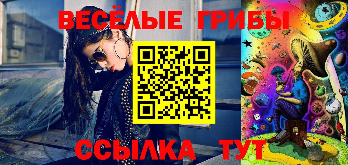 Галлюциногенные грибы Psilocybine cubensis Малгобек